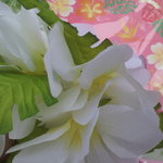 ポリネシアンテラス レストラン - お土産♪