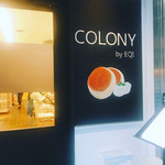 COLONY by EQI - 