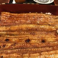 明神下 神田川 本店 - 