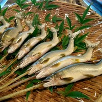 柳家 - ◎馬瀬川の鮎　小ぶりを焼きで　赤味噌・豆味噌ブレンド　をつけて