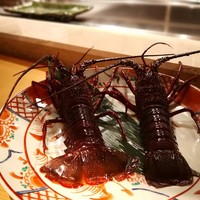 鉄板懐石 ふく - 