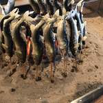 柳家 - 鮎の塩焼き。金筋が入ってる。