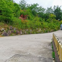 柳家 - 