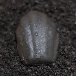 サンプリシテ - ランチコース 5940円 のブラックオリーブのマドレーヌ