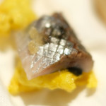 サンプリシテ - ランチコース 5940円 の5日間熟成した銚子イワシの瞬間燻製