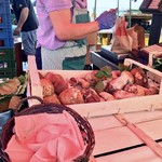 Porta Palazzo Giammarrusto Anna - 料理写真:ルーマニア産ポルチーニの売り場