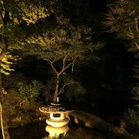 日本料理 和か葉 - 