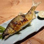 鯉とりまあしゃん - 