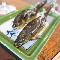 柳家 - ひとり2匹