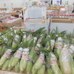 農産物直売所 こだま館 - 各種トウモロコシ