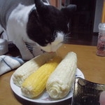 農産物直売所 こだま館 - 食べてみた