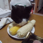 農産物直売所 こだま館 - 食べてみた