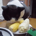 農産物直売所 こだま館 - 食べてみた