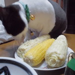 農産物直売所 こだま館 - 食べてみた