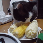 農産物直売所 こだま館 - 食べてみた