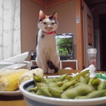 農産物直売所 こだま館 - 食べてみた