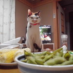 農産物直売所 こだま館 - 食べてみた