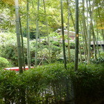 店内から見える風景