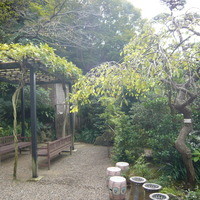 葉山 日影茶屋 - 中庭