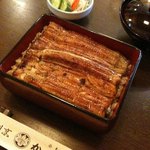 Kakumoto Unagi - 