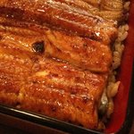 Kakumoto Unagi - 