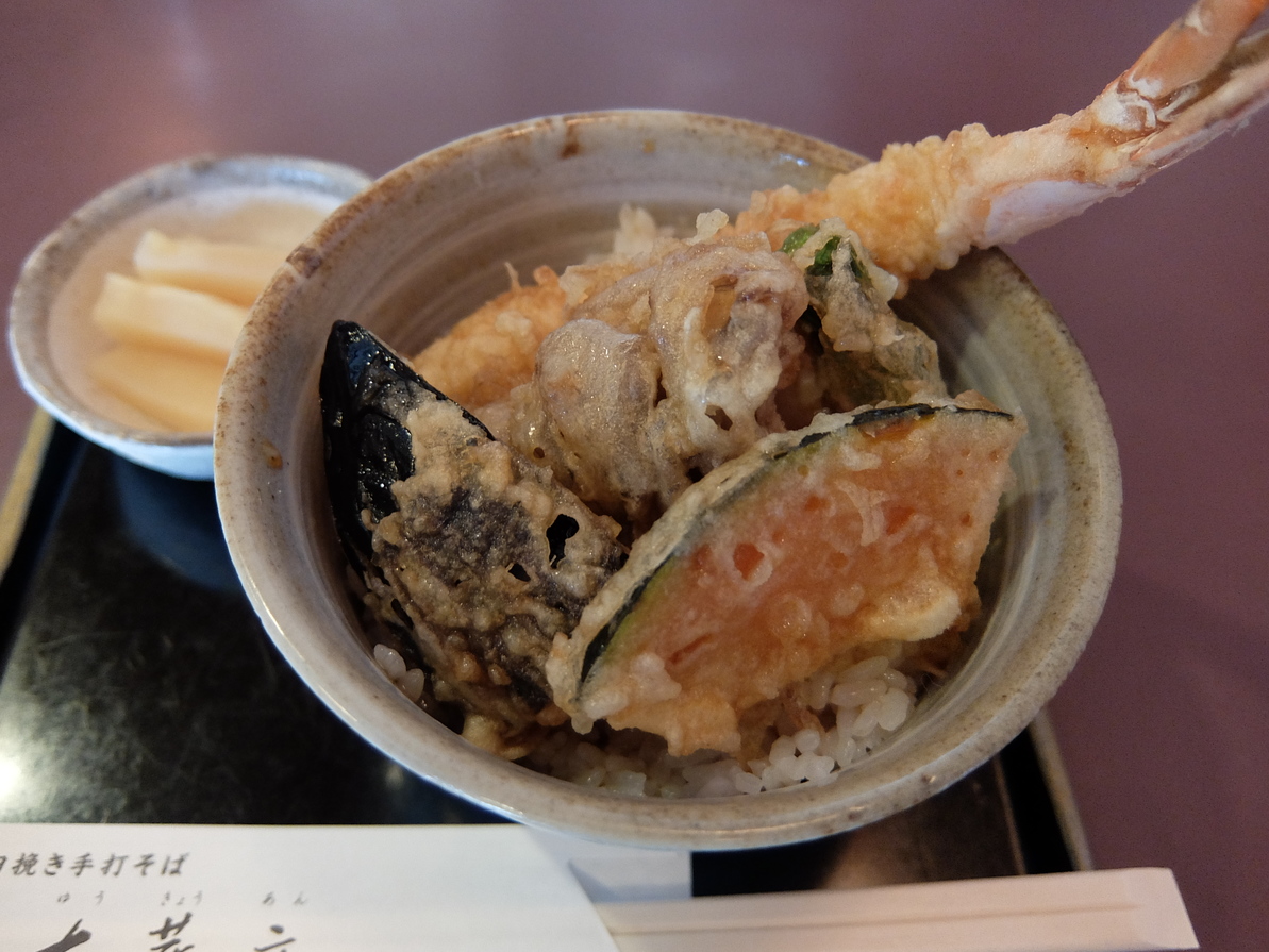 友蕎庵 name=
