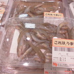 本庄鮮魚センター - 店内