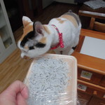 本庄鮮魚センター - 食べてみた