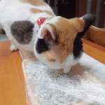 本庄鮮魚センター - 食べてみた