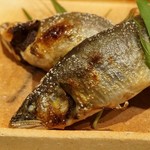 味ひろ - 鮎の食べ比べ