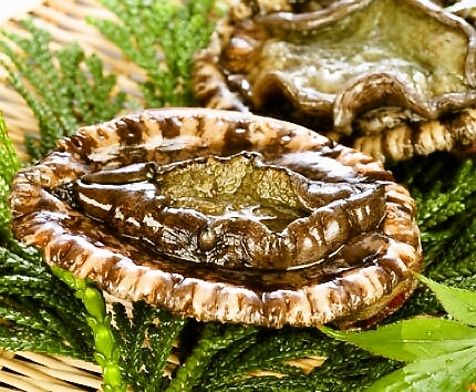 ステーキ・鉄板料理和かな 北上店 - 柳原（鉄板焼き）の写真