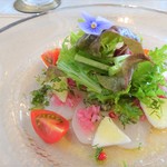 カシュ カシュ - ホタテのカルパッチョ