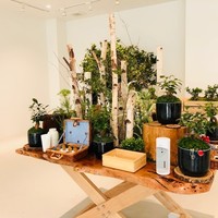 ENEKO Tokyo - 