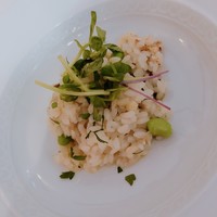 RISTORANTE REGA - 鮎と枝豆のリゾット