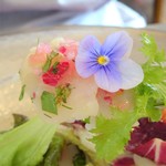 カシュ カシュ - ホタテのカルパッチョアップ