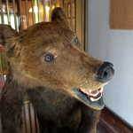 仙人小屋 - 満足したなら、また来いよ♪