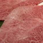 銀山亭 - 2018/6/28 ミスジ