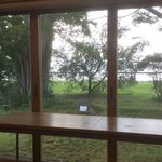 vokko - 店内からの眺め