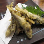 風来坊 - 稚鮎の天ぷら（日替わり５００円）