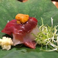 肉和食 月火水木金土日 - 馬肉と剣先イカの雲丹乗せ