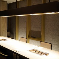 USHIGORO S. GINZA - 