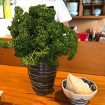 酒場 井倉木材 - 