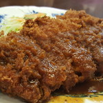 ひれとんかつの店 とん文 - 