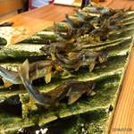 柚木元 - 天龍鮎