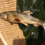 さくや谷町 - ラス1の焼魚（汗）