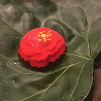 クレアバックス - 