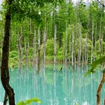 Popura Fuamu - 青の池