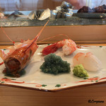 小判寿司 - 特大ボタン海老