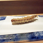 にい留 - 南知多の豊浜から引いた子持ち蝦蛄