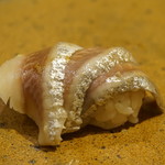 イワシの酢漬け